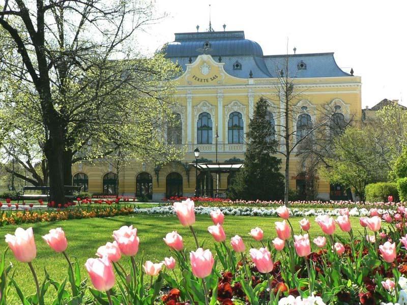 Hotel Fama Hódmezővásárhely Exteriér fotografie